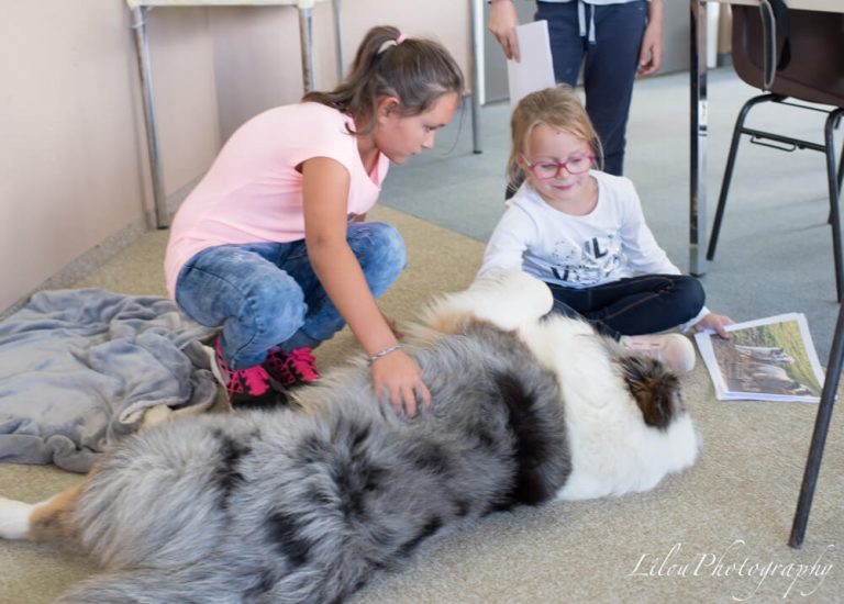 Ateliers collectif enfants - Mediation animale Canitherapie Lilou Brun 6