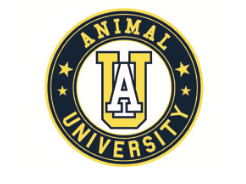 Lilou brun logo animal university