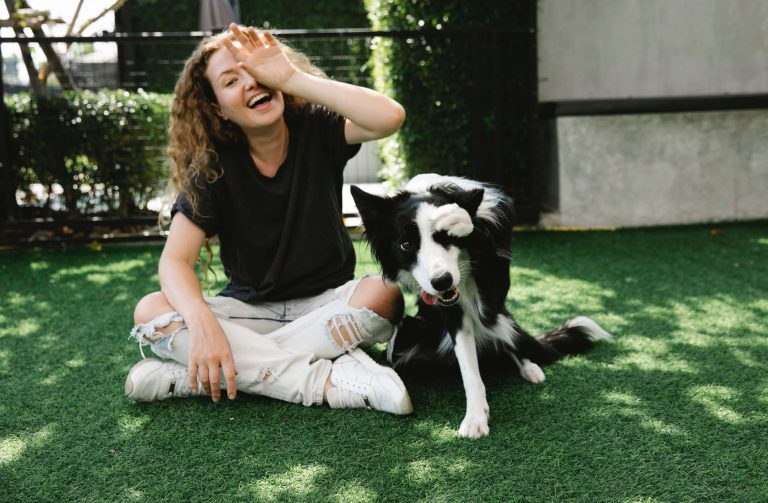 Formation chien therapeute - Mediation animale Canitherapie Lilou Brun 3